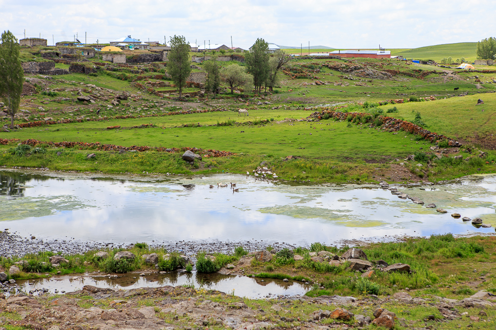 Oguzlu